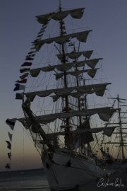 The Tall Ships Race