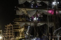 The Tall Ships Race