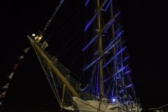 The Tall Ships Race