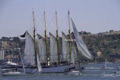 The Tall Ships Race - A Despedida