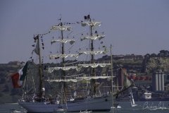 The Tall Ships Race - A Despedida