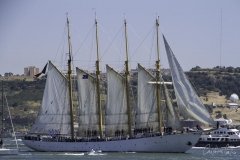 The Tall Ships Race - A Despedida