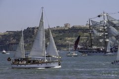 The Tall Ships Race - A Despedida