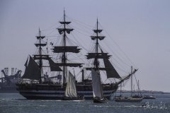 The Tall Ships Race - A Despedida